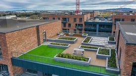 Green roofs and permeable paving: how to solve both the human and nature housing crises