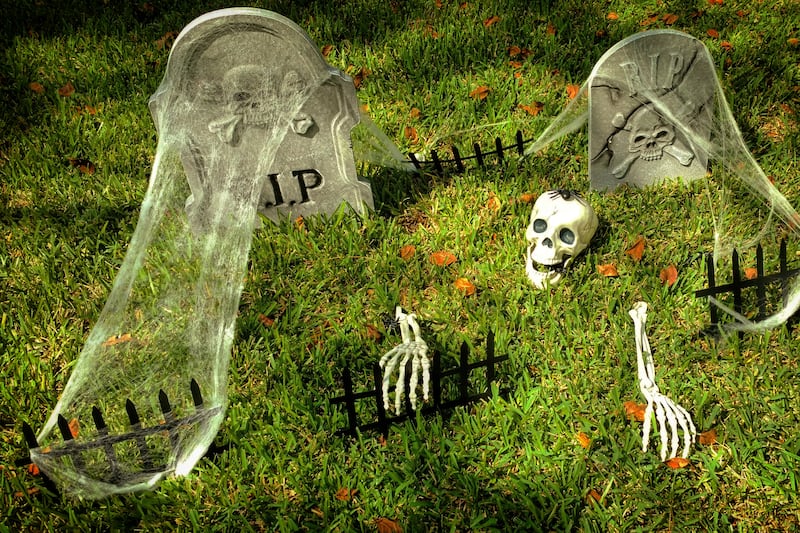 Plastic Halloween bones will still be around centuries after ours have fed the Earth
