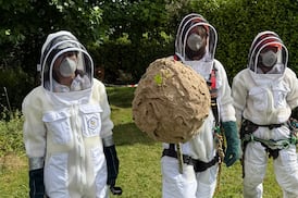 Repelling invaders: What can Ireland do to keep harmful alien species away?